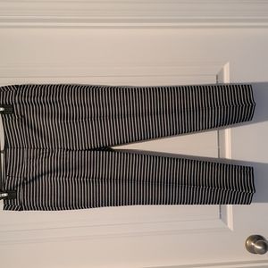 Loft dress ankle pant